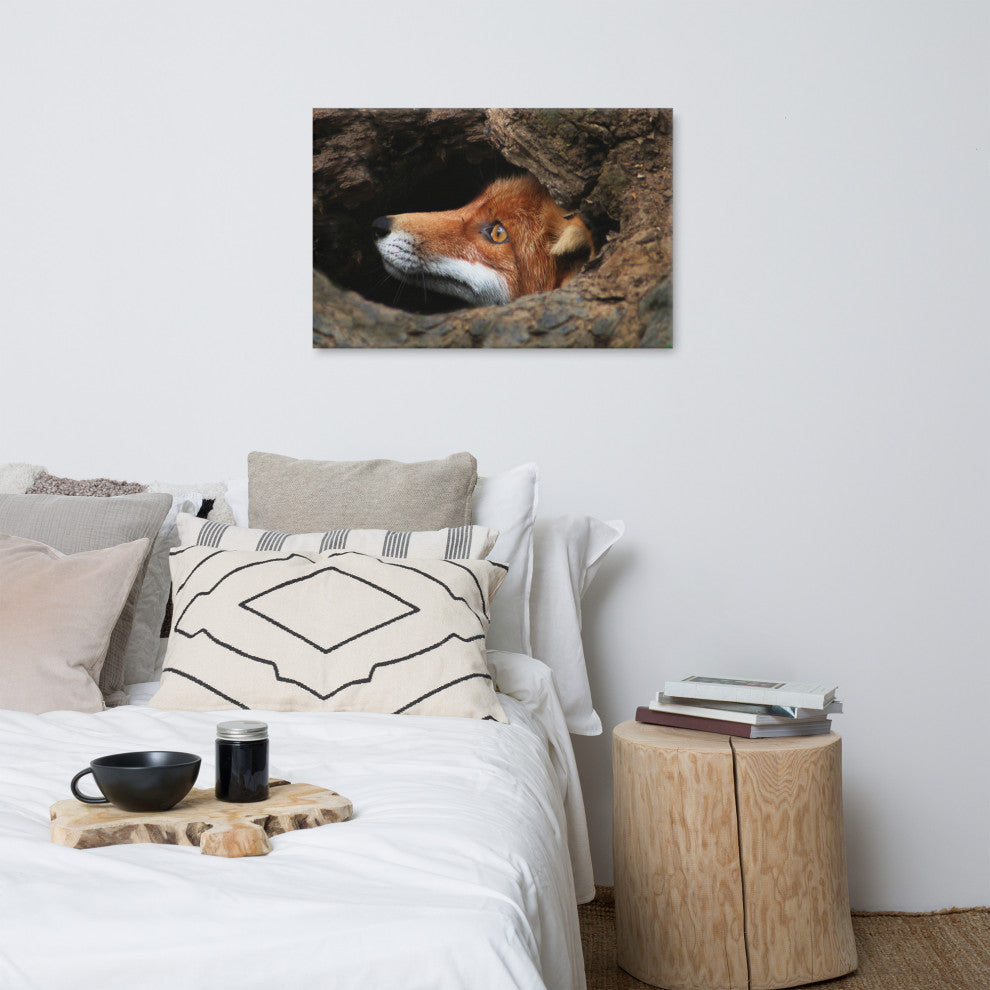Red Fox Face in Stump Animal Wildlife Nature Photograph Canvas Wall Art Prints, 24" X 36"