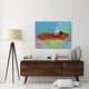 "Ferrari Testa Rossa Watercolor 1" Fine Art Print