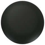 Generation Lighting Era Blanking Plate, Midnight Black Midnight Black