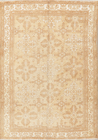 Consigned, Vintage-Style Faded Traditional Area Rug Handmade Persian, Brown, 6x9