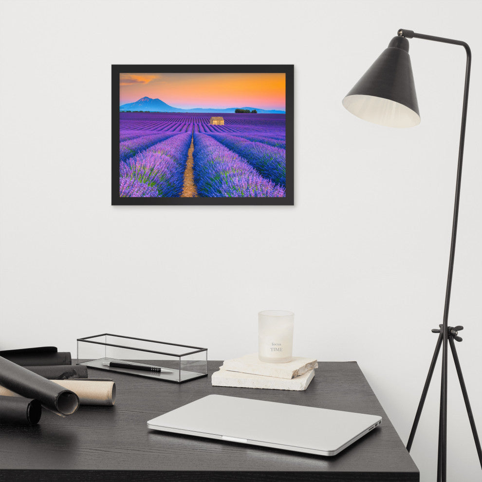 Blooming Lavender Field and Sunset Floral Landscape Framed Photo Wall Art Prints, Black, 12" X 16"