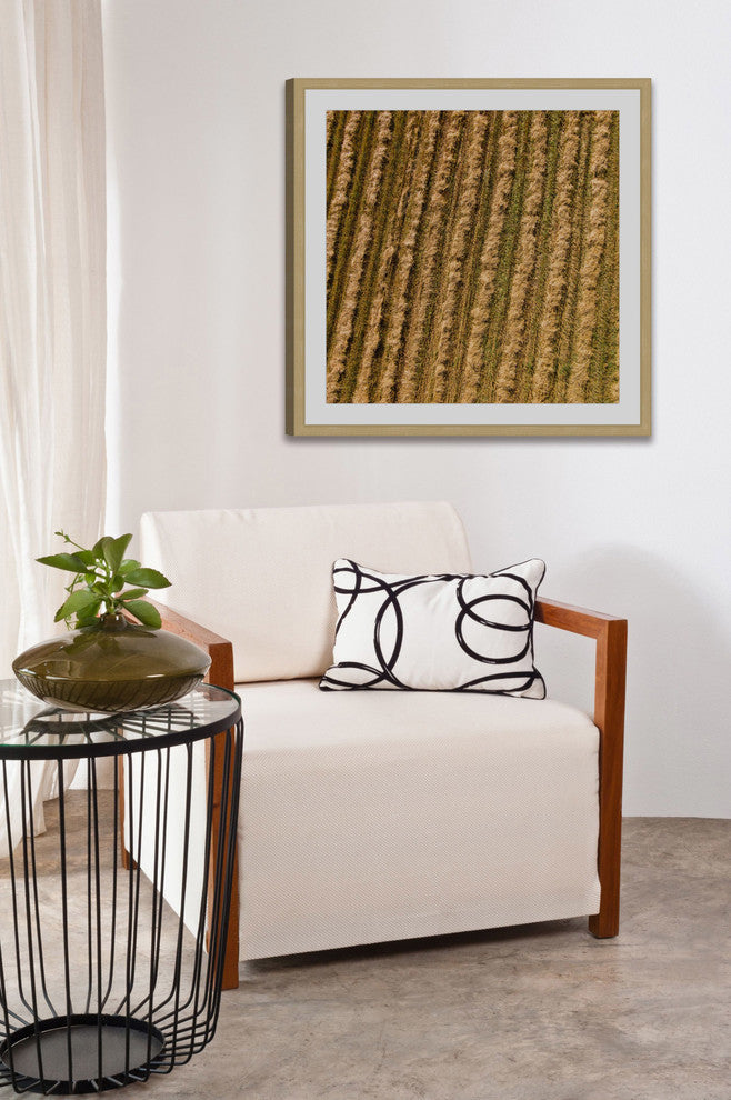 "Tilled Field" Framed Print by Karolis Janulis