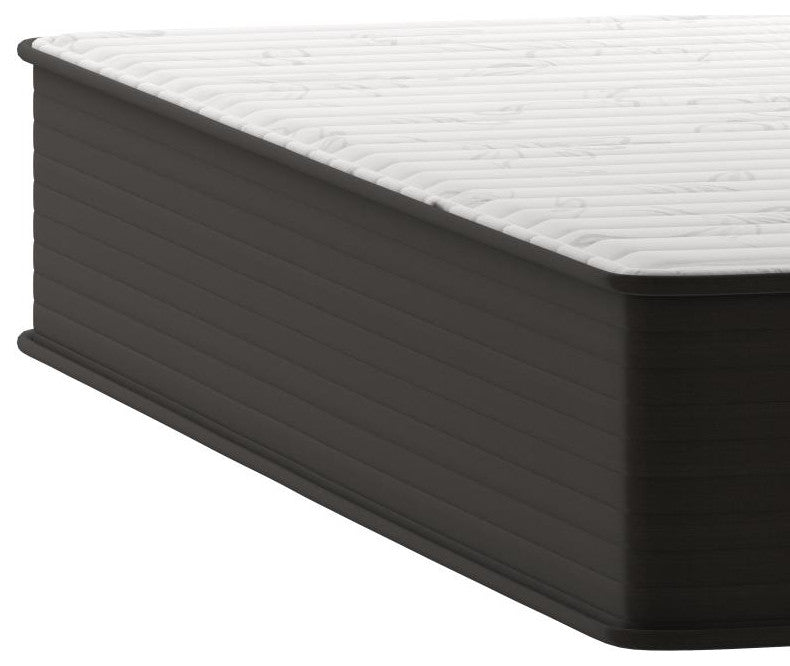 Dream 12 Inch Hybrid Mattress in a Box - -Queen