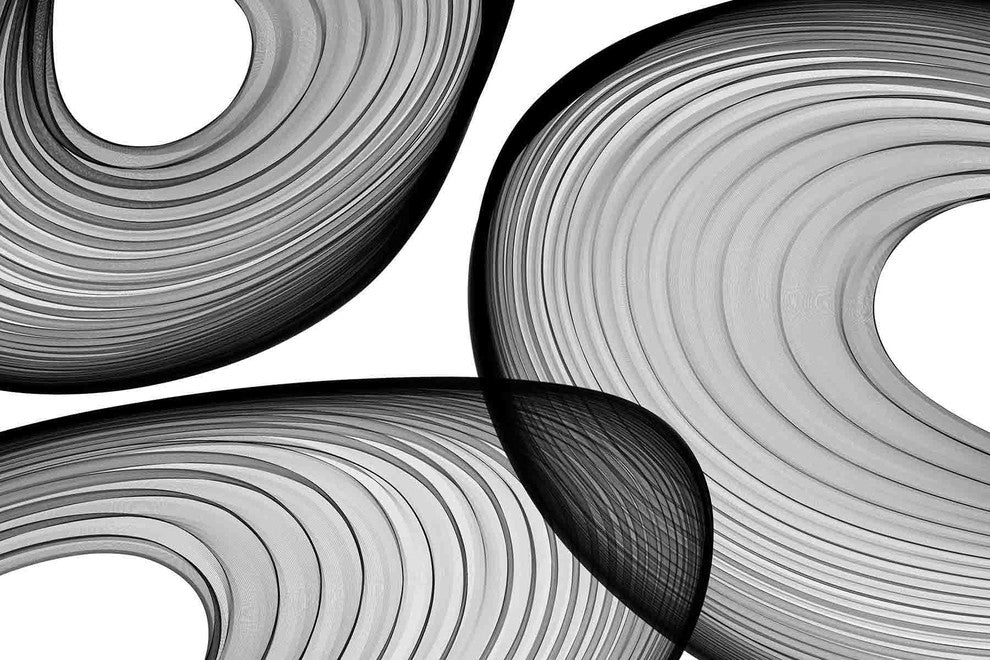 "Abstract Black and White 21-44-40" Print on Canvas by Irena Orlov