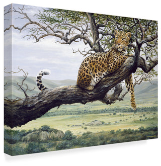 Harro Maass 'Leopard In Tree' Canvas Art, 47"x35"