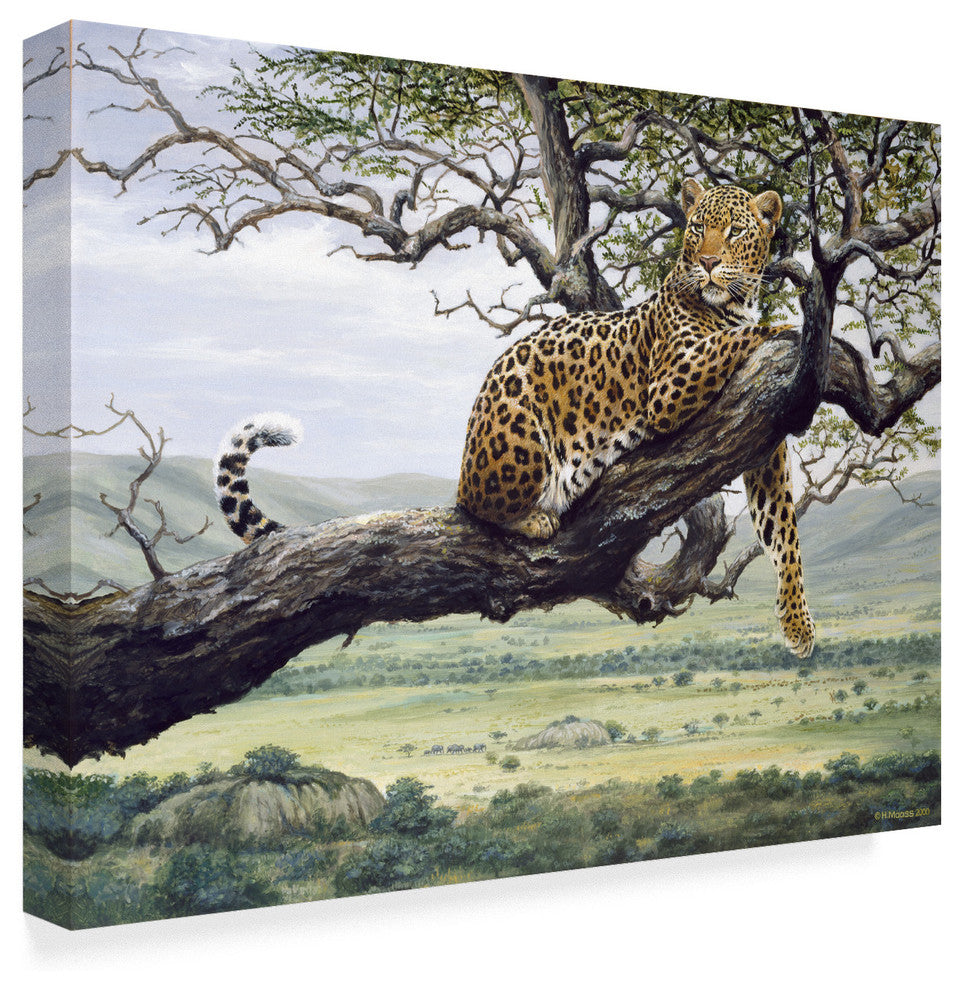Harro Maass 'Leopard In Tree' Canvas Art, 47"x35"