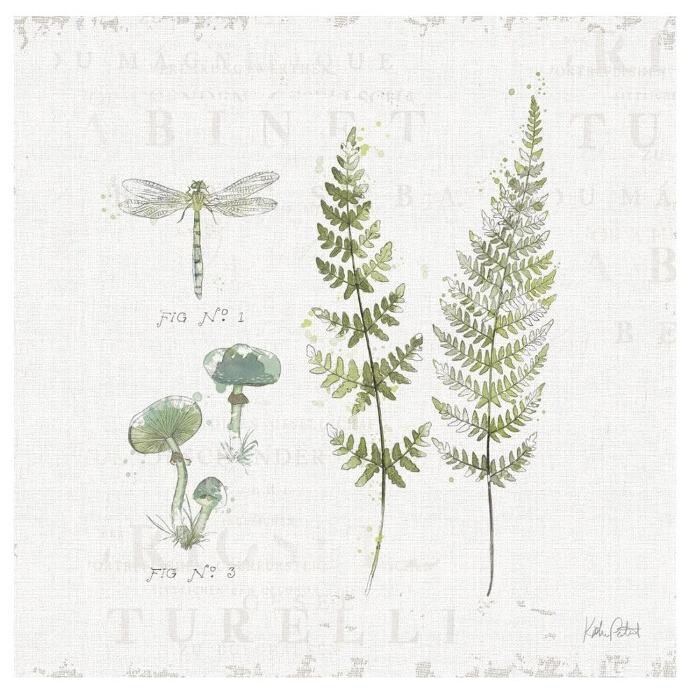 "In the Forest VI" Digital Paper Print by Katie Pertiet, 26"x26"