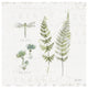 "In the Forest VI" Digital Paper Print by Katie Pertiet, 26"x26"