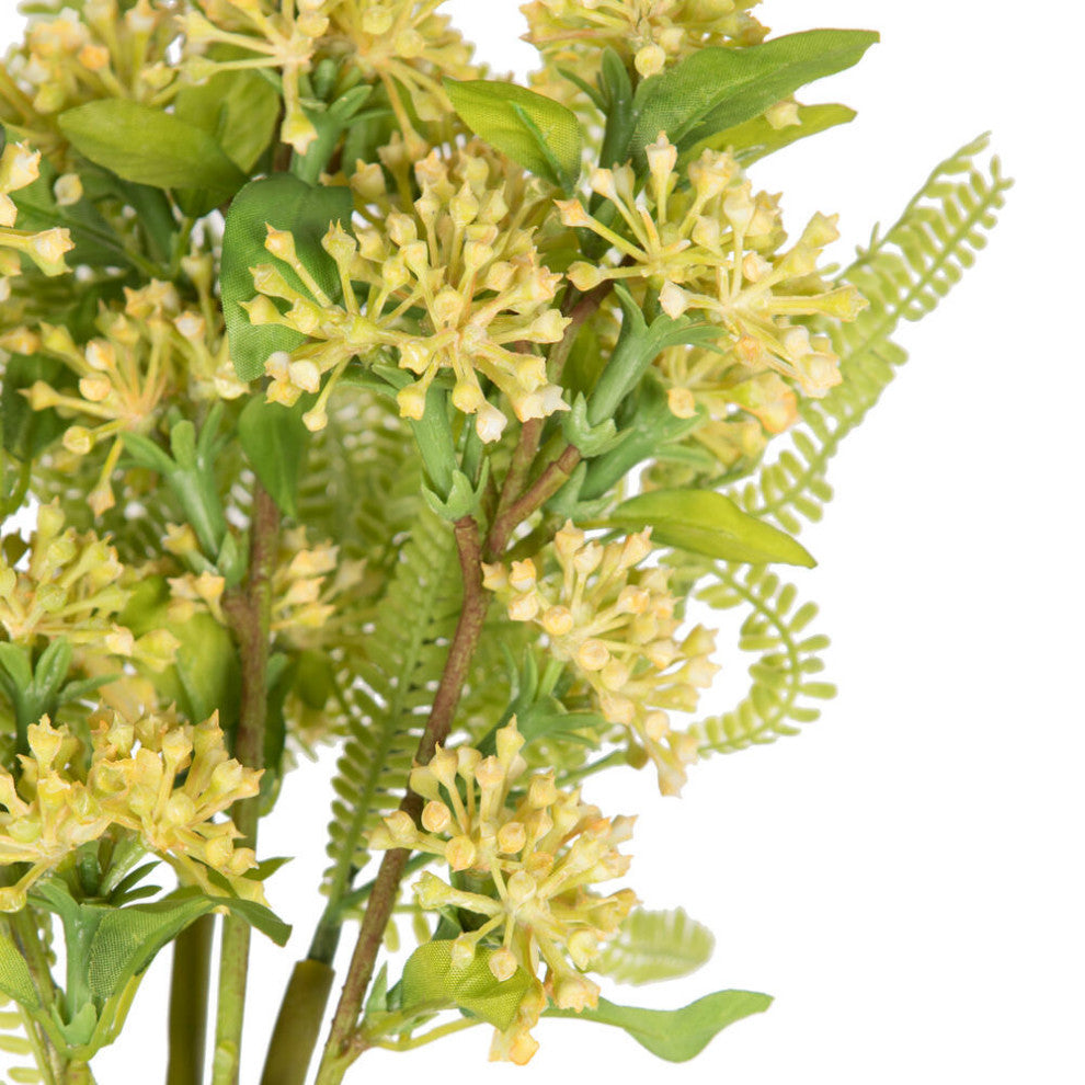 Close-up of floral clusters and ferns on white background.