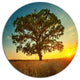 Big Green Tree In Summer Field, Modern Trees Round Metal Wall Art, 23"