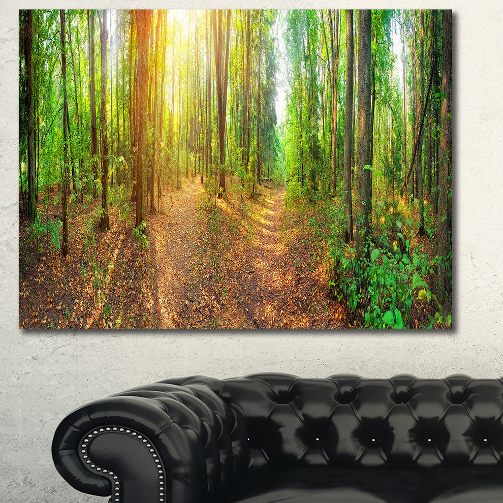 Dense Forest Panorama, Landscape Canvas Art Print, 40"x30"