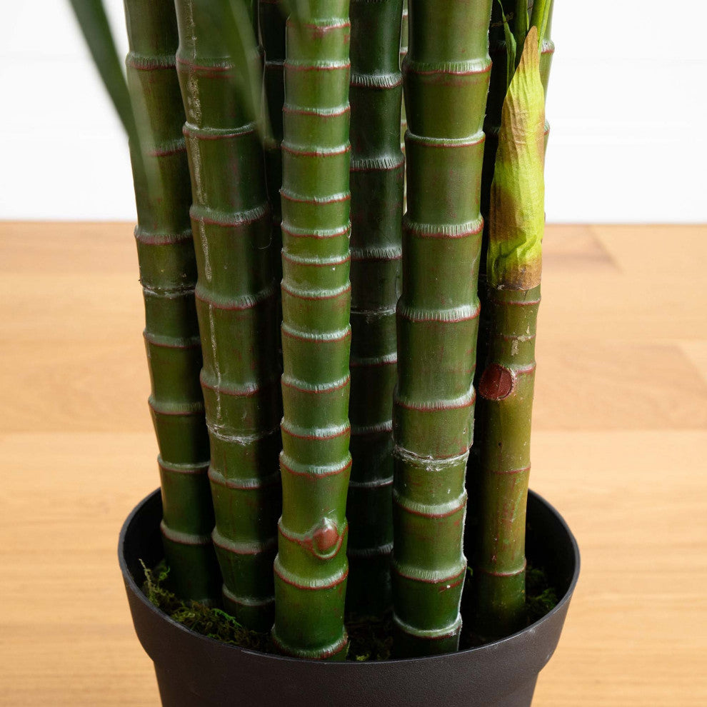 Close-up view of the palm trunk in a pot with a white background (alternate_white_close).
