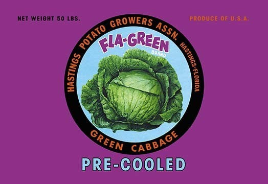 Fla-Green Green Cabbage- Fine Art Giclee Print 24" x 36"