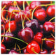 Cherries Canvas Wall Art