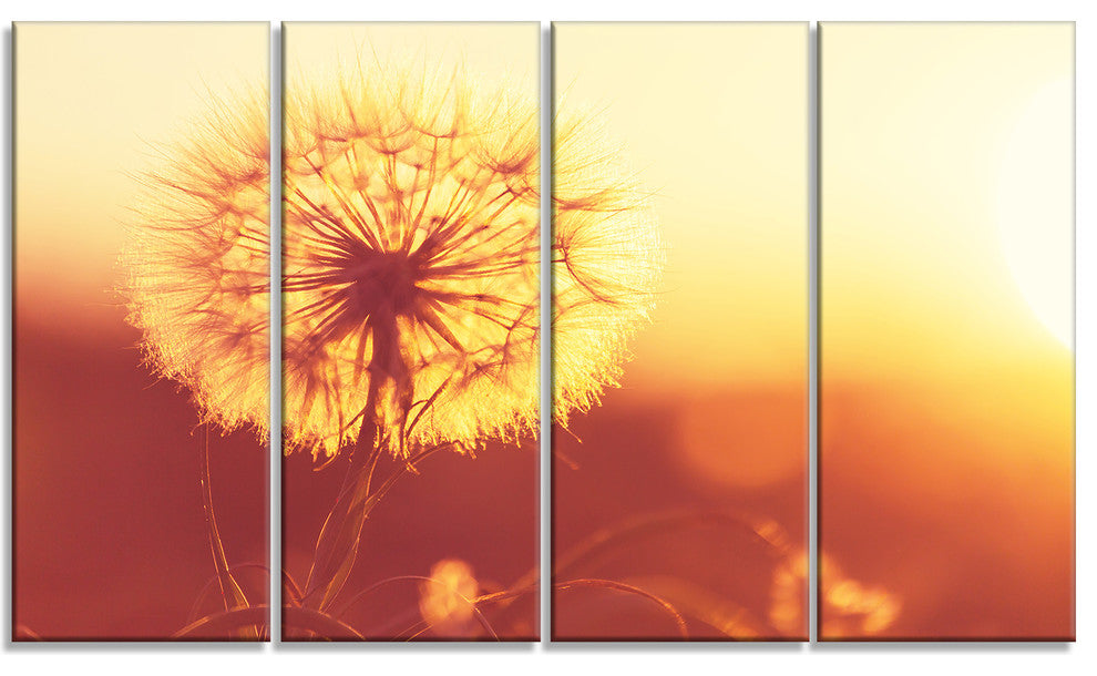 Blossom Dandelion Flower on Brown, Large Flower Canvas Print, 48"x28", 4 Panels