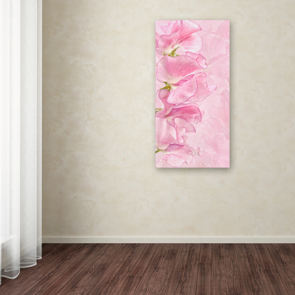 Cora Niele ''Pink Sweet Peas'' Canvas Art