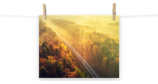 Sunrise Railroad Though Misty Forest Landscape Photo Loose Wall Art Prints, 11" X 14"