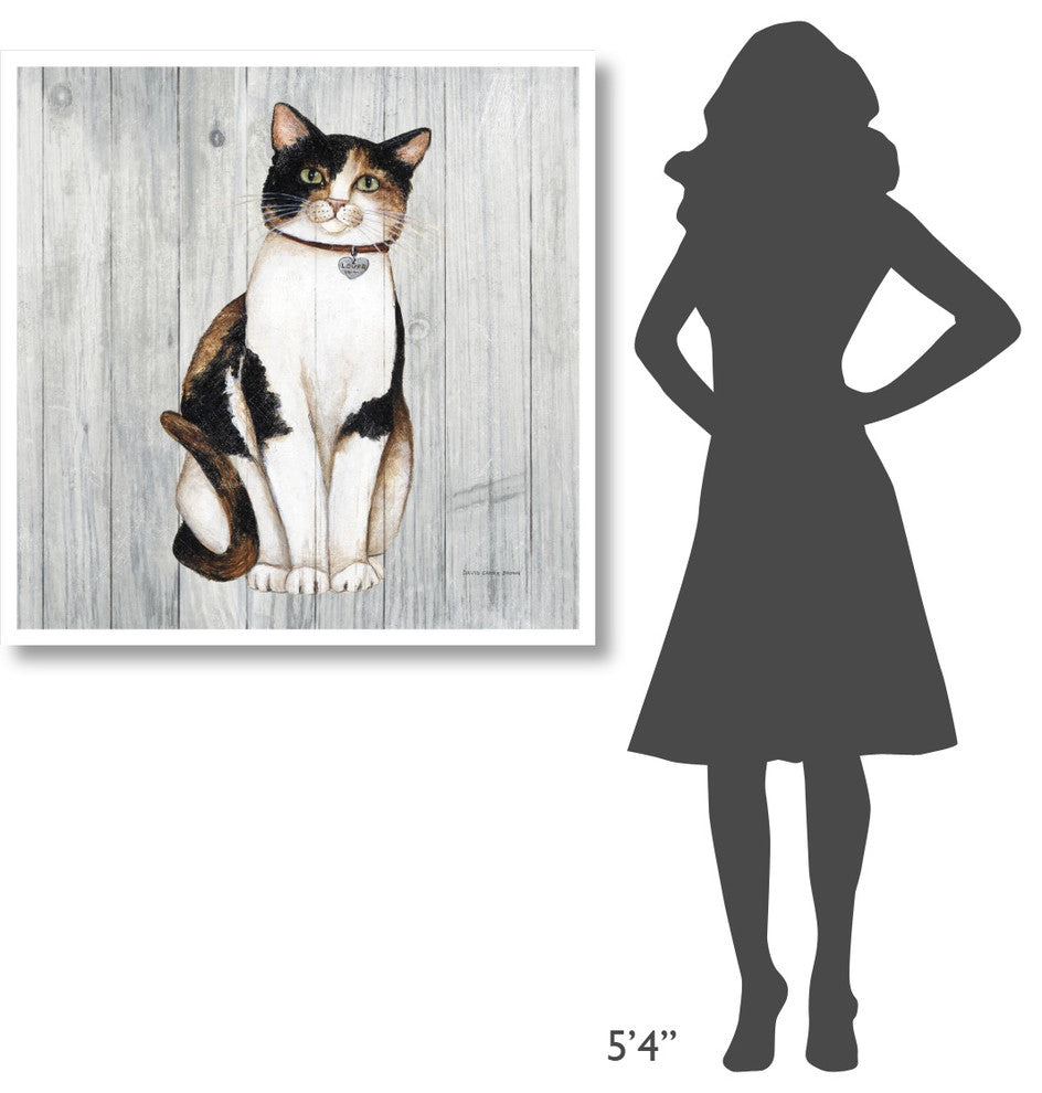 "Country Kitty III on Wood" Digital Paper Print by David Carter Brown, 38"x38"