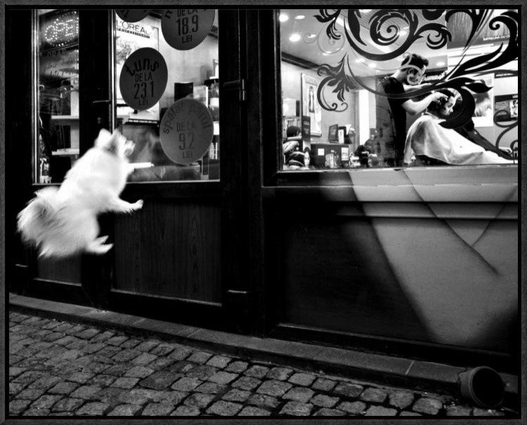 "Last Customer" Framed Canvas Giclee by Mirela Momanu, 23x18"