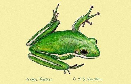 Green Tree Frog Door Mat 18x26