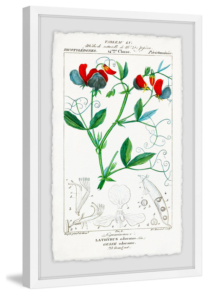 "Turpin's Tableau" Framed Painting Print, 12"x18"