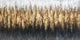 Golden Serenity - Abstract Black and Gold Art, Modern Canvas Wall Art