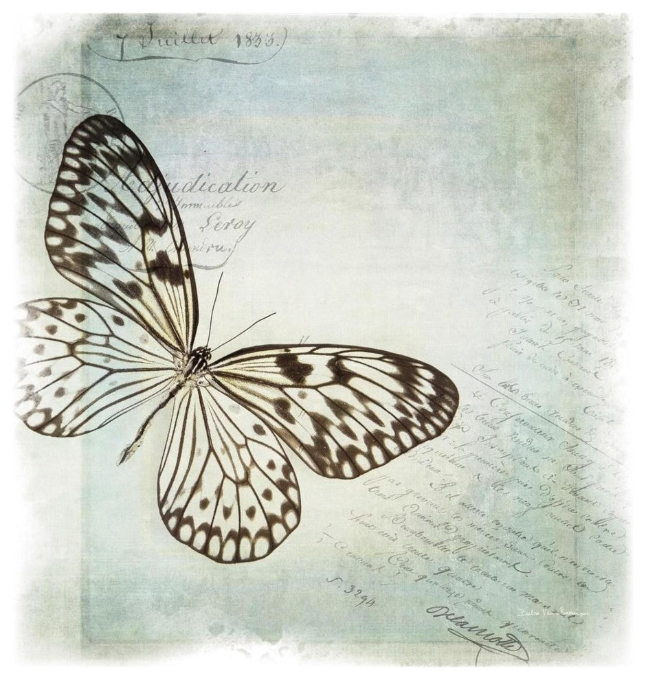 "Floating Butterfly IV" Digital Paper Print by Debra Van Swearingen, 42"x42"