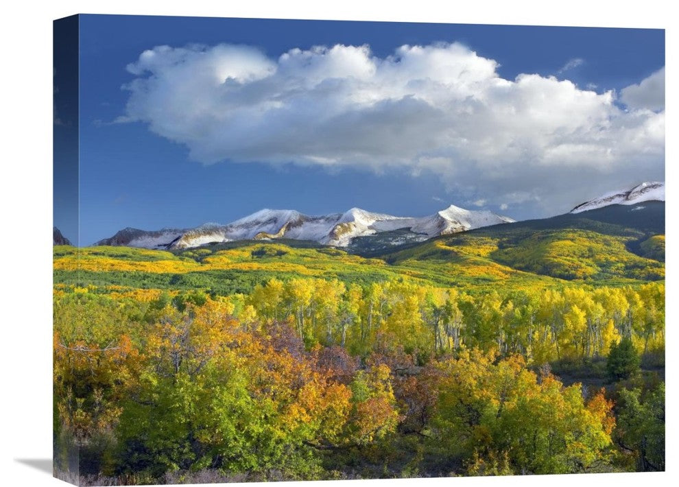 "East Beckwith Mountain Under Cumulus Clouds, Colorado" Artwork