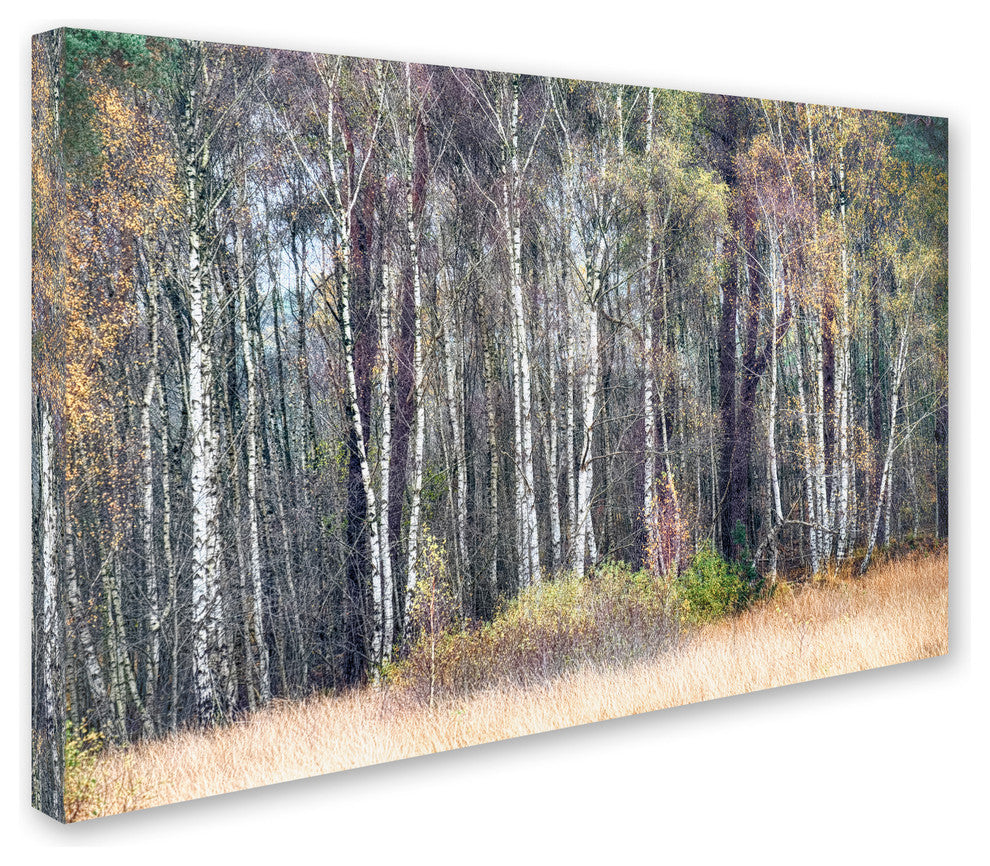 Cora Niele ''Birches'' Canvas Art