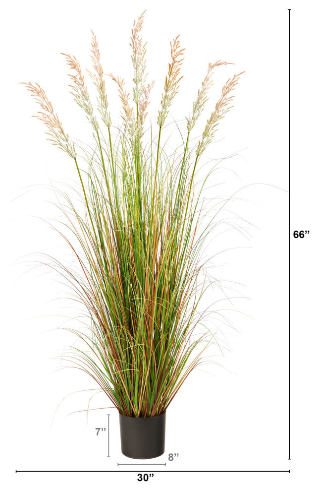 5.5 ft. Plume Grass Artificial Plant