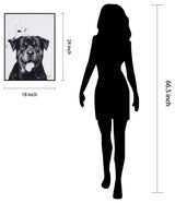 "Rottweiler" Black and White Pet Art on Printed Glass with Anodized Frame