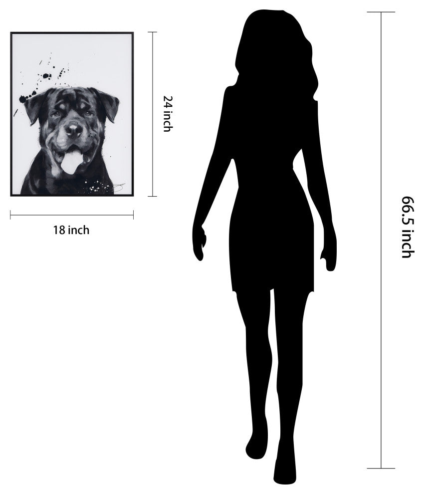 "Rottweiler" Black and White Pet Art on Printed Glass with Anodized Frame