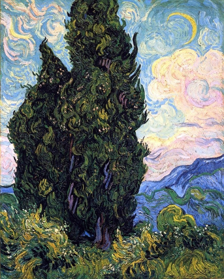 Vincent Van Gogh Cypresses, Gallery Wrapped Canvas Print, 20"x25"