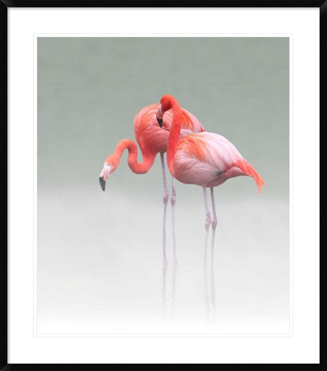"Just We Two" Framed Digital Print by Anna Cseresnjes, 33x38"