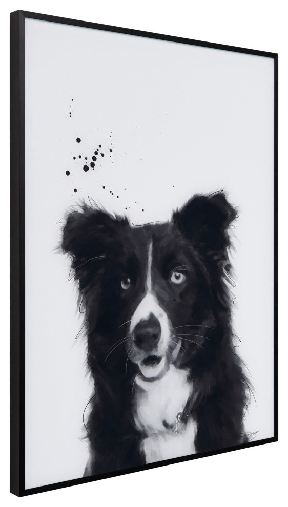 "Border Collie" Black and White Pet Art on Printed Glass with Anodized Frame