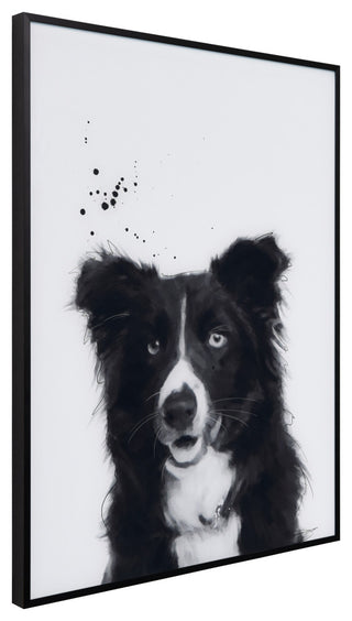 "Border Collie" Black and White Pet Art on Printed Glass with Anodized Frame