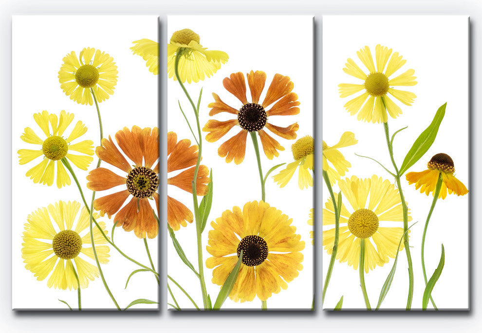 Ready2HangArt ''Helenium'' 3-Piece Canvas Wall Decor Set, 60"x40"