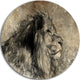 Lion In Sepia, Digital Art Animal Large Disc Metal Wall Art, 36"