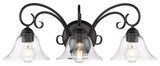 Golden Lighting 8606-BA3 Homestead 3 Light 24"W Bathroom Vanity - Black / Clear
