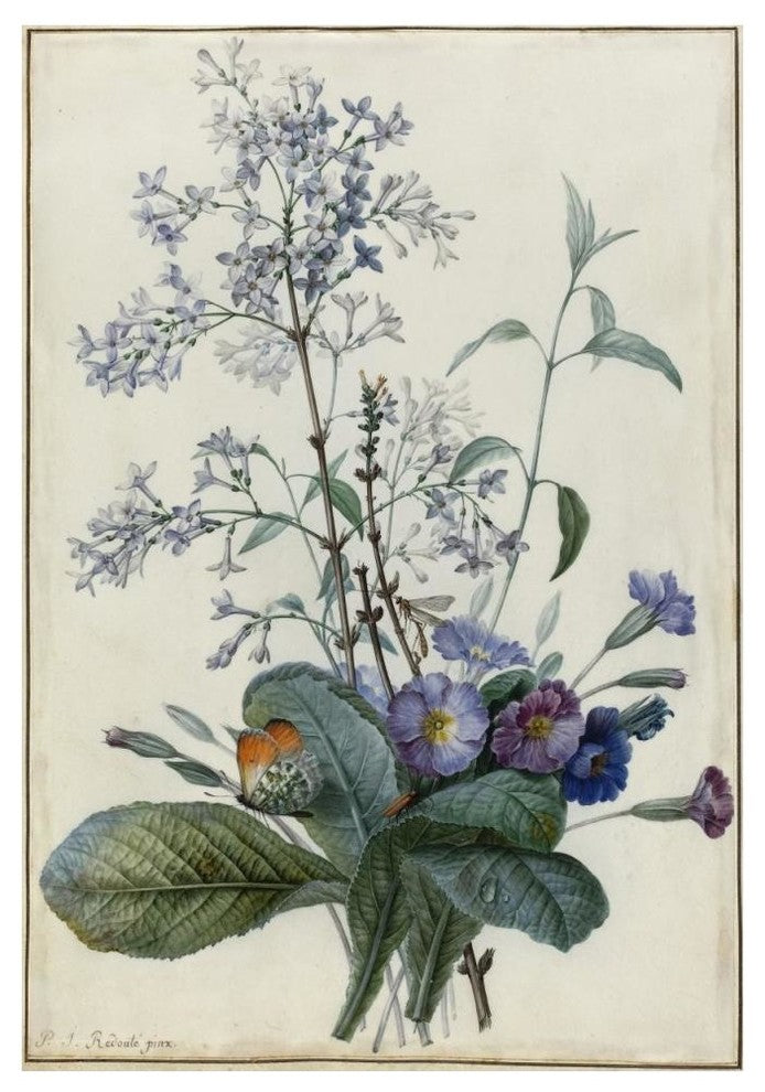"A Bouquet of Flowers with Insects" Print by Pierre Joseph Redoutï¿½, 34"x50"