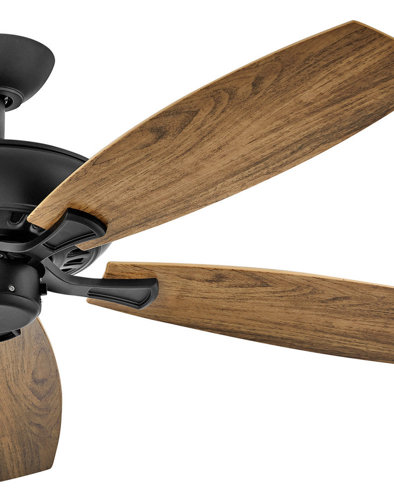 Hinkley Highland Wet 60" Fan, Matte Black