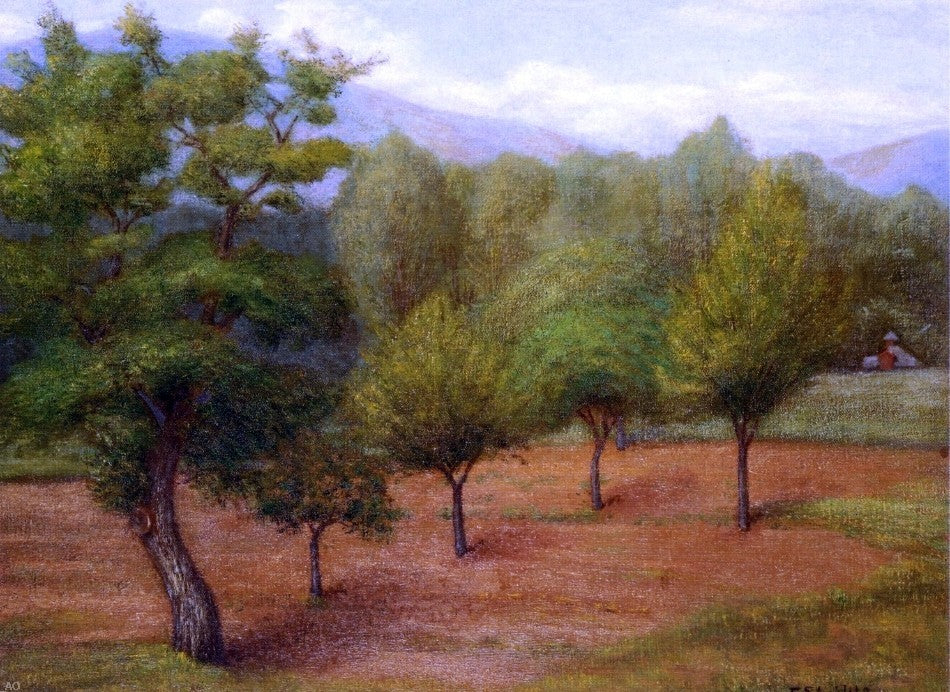 Edward Stieglitz Spring Landscape, Gallery Wrapped Canvas Print, 21"x28"