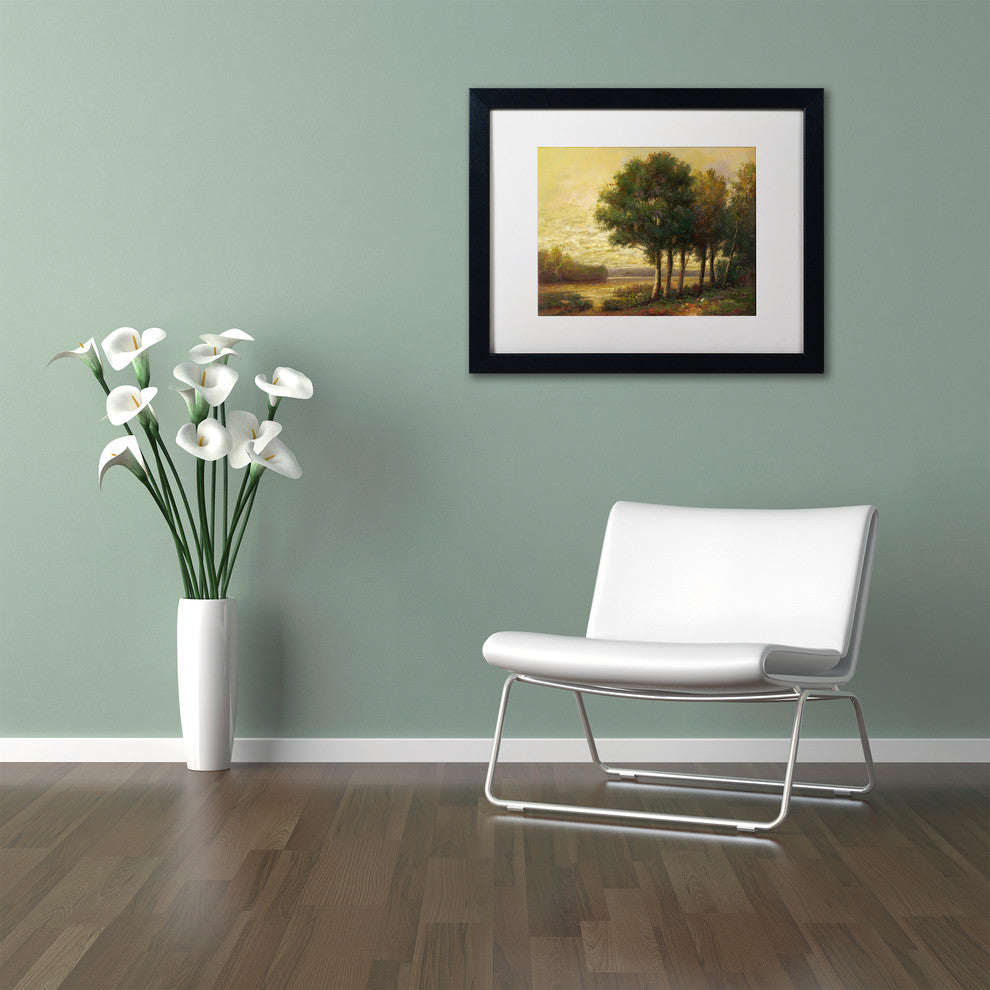 Daniel Moises 'Tranquility' Framed Art, Black Frame, 11"x14", White Matte
