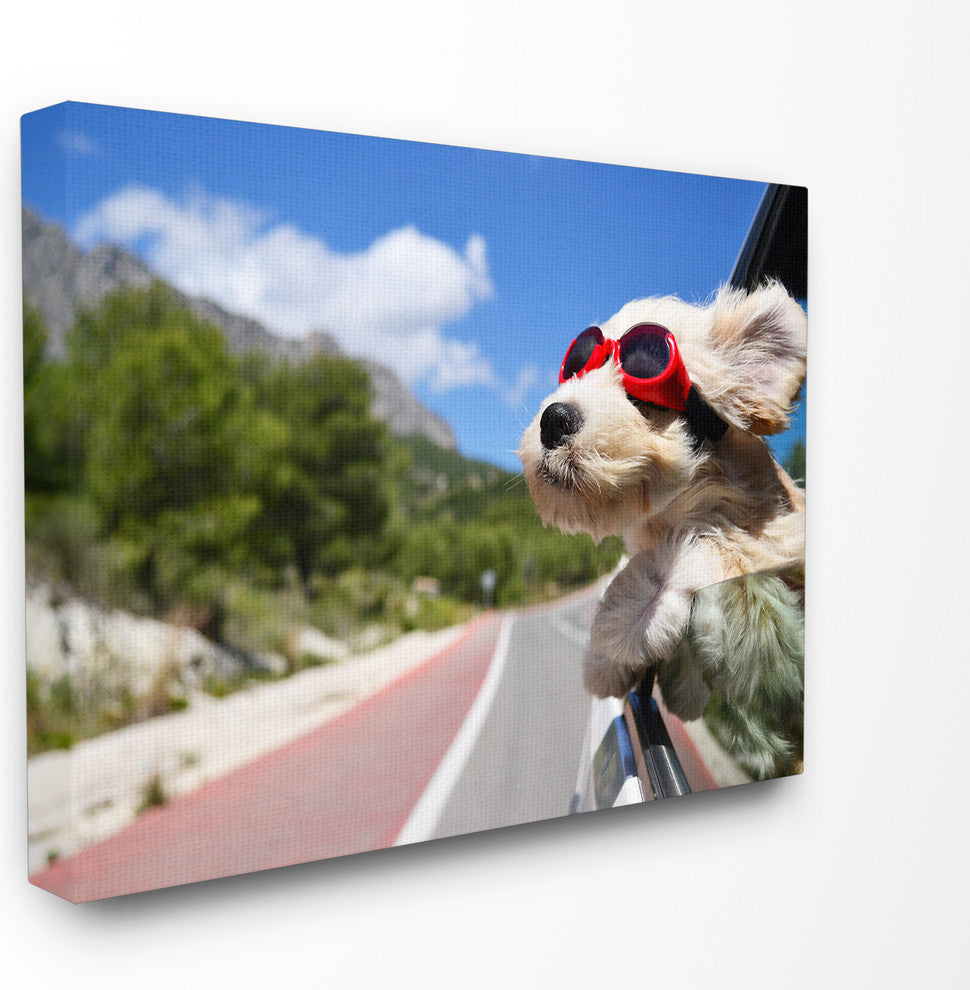Road Trip Happy Dog With Red Sunglasses, Canvas, 24"x30"
