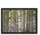 "Spring Birch", Framed Photograph Print, Ready To Hang