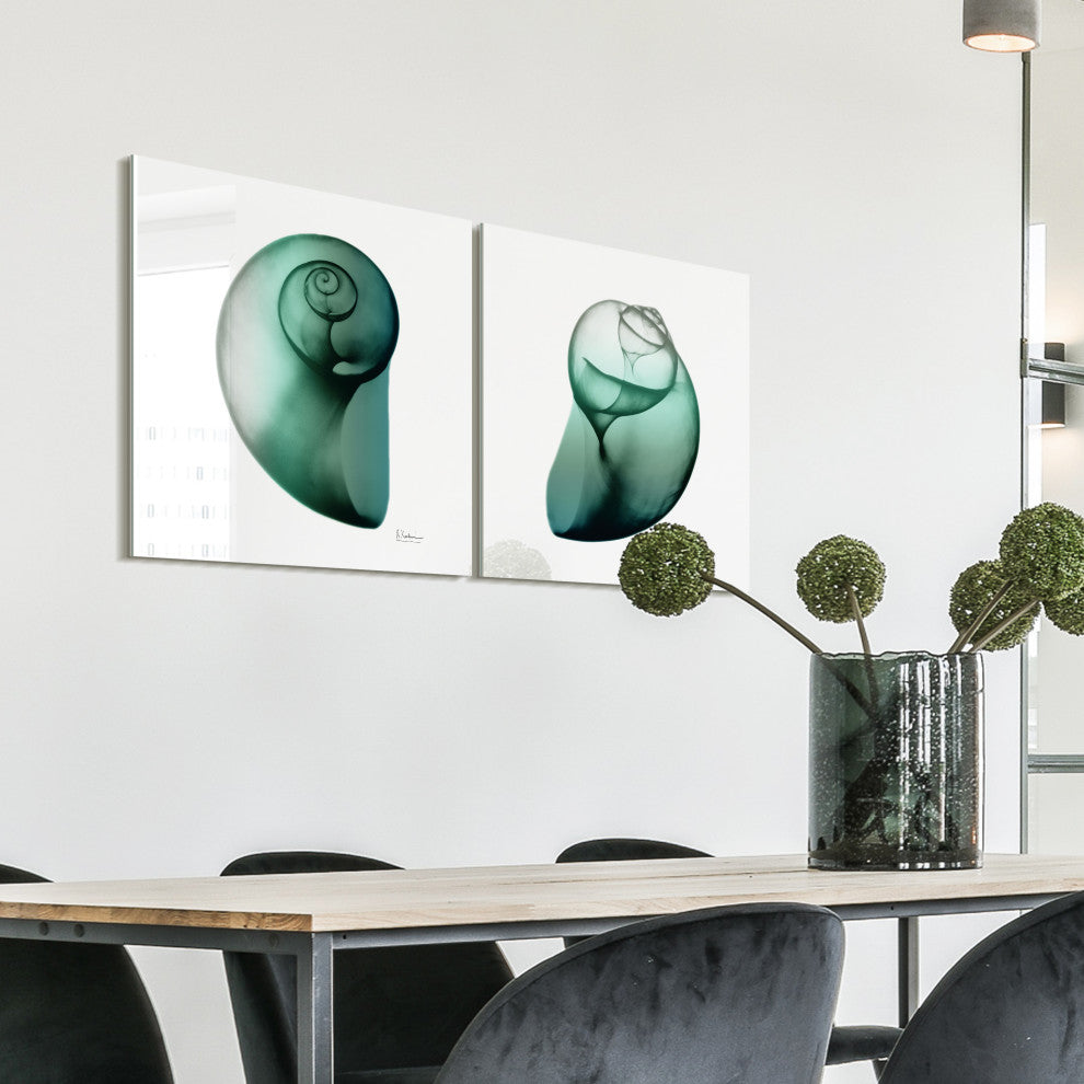"Snail" Printed Wall Art on Unframed Free Floating Tempered Glass Set of 2