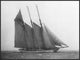 "The Schooner Karina at Sail, 1919" Framed Canvas Giclee by Edwin Levick, 41x31"