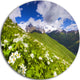 Blossom Flowers In Mountains, Landscape Disc Metal Artwork, 23"