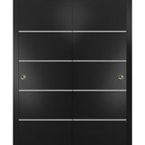 Bypass Doors 60 x 96 | Planum 0210 Matte Black with  | Sturdy Rails