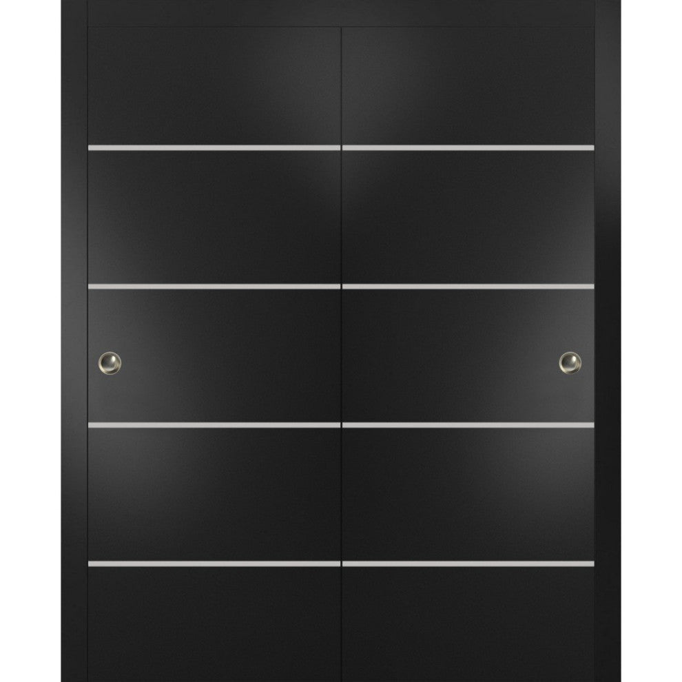 Bypass Doors 60 x 96 | Planum 0210 Matte Black with  | Sturdy Rails